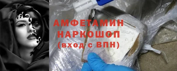 индика Горнозаводск