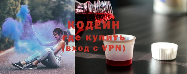 индика Горнозаводск