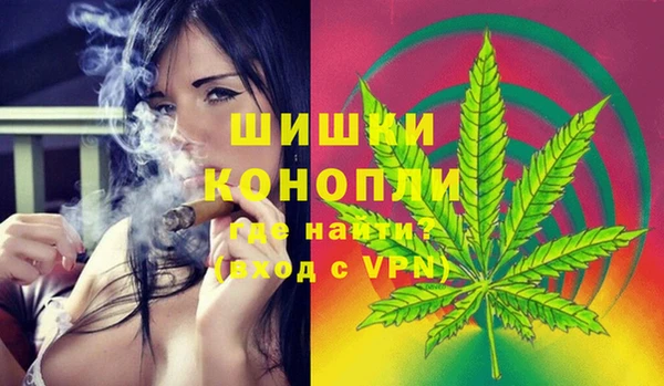 СК Горняк