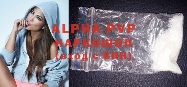 индика Горнозаводск