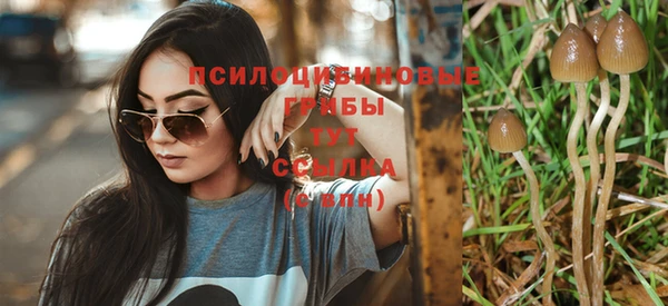 индика Горнозаводск