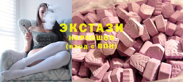 индика Горнозаводск