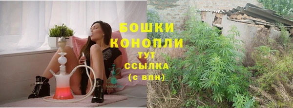 индика Горнозаводск