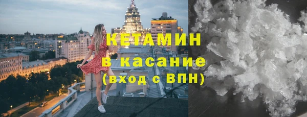 индика Горнозаводск